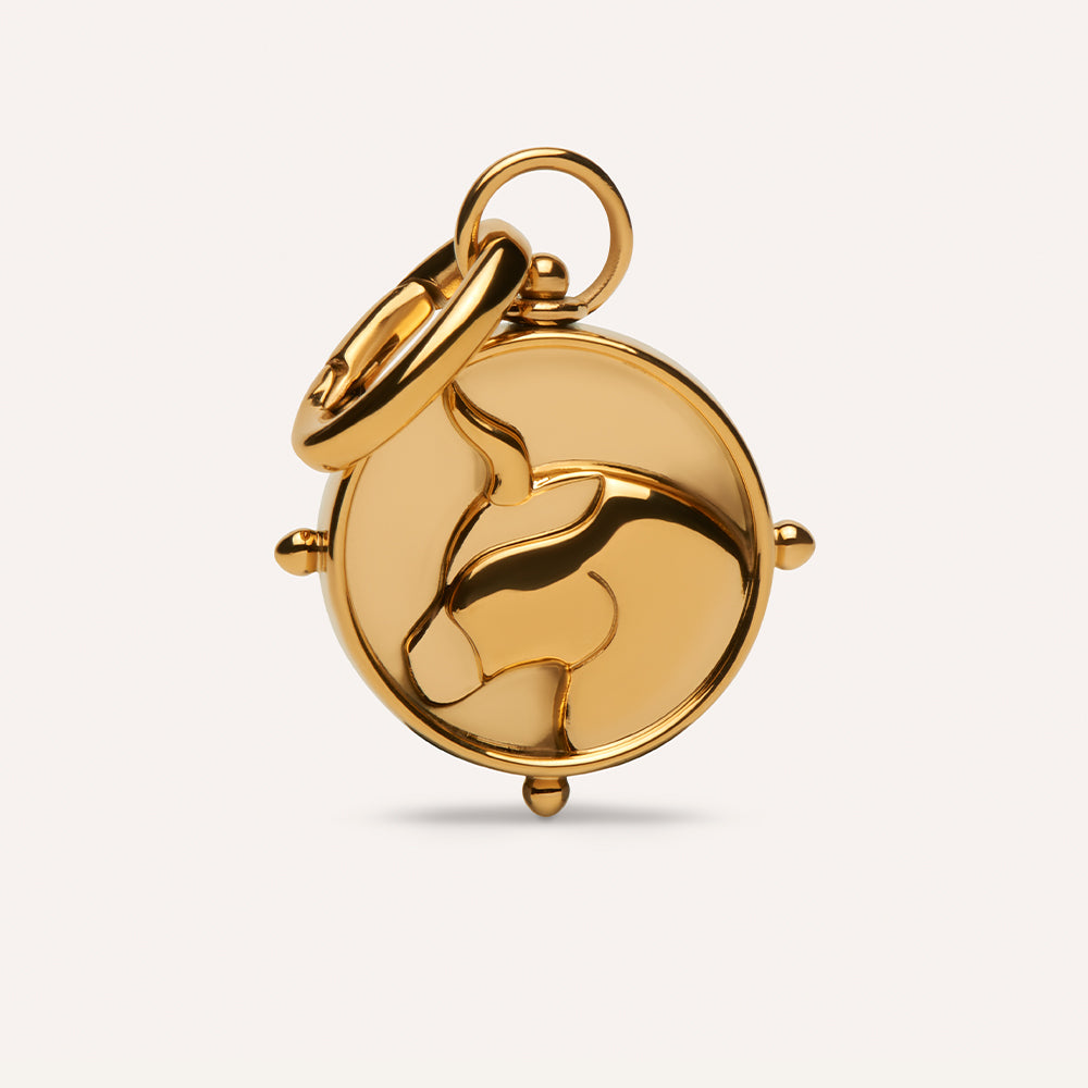 Taurus Double-Sided Charm