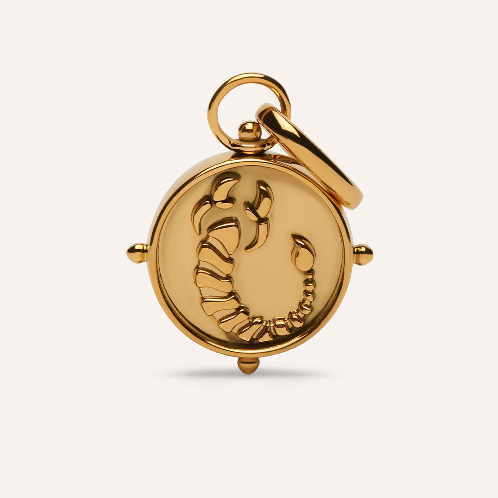 Scorpio Double-Sided Charm