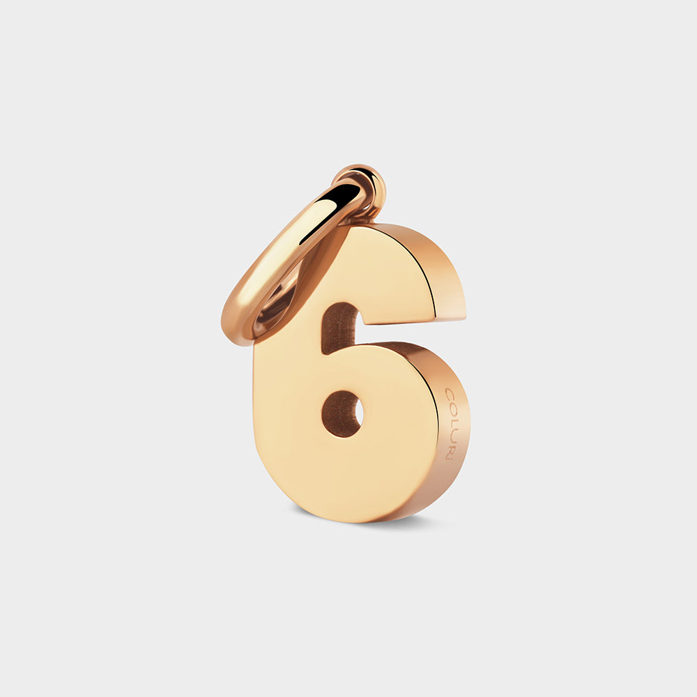 Number 6 Charm