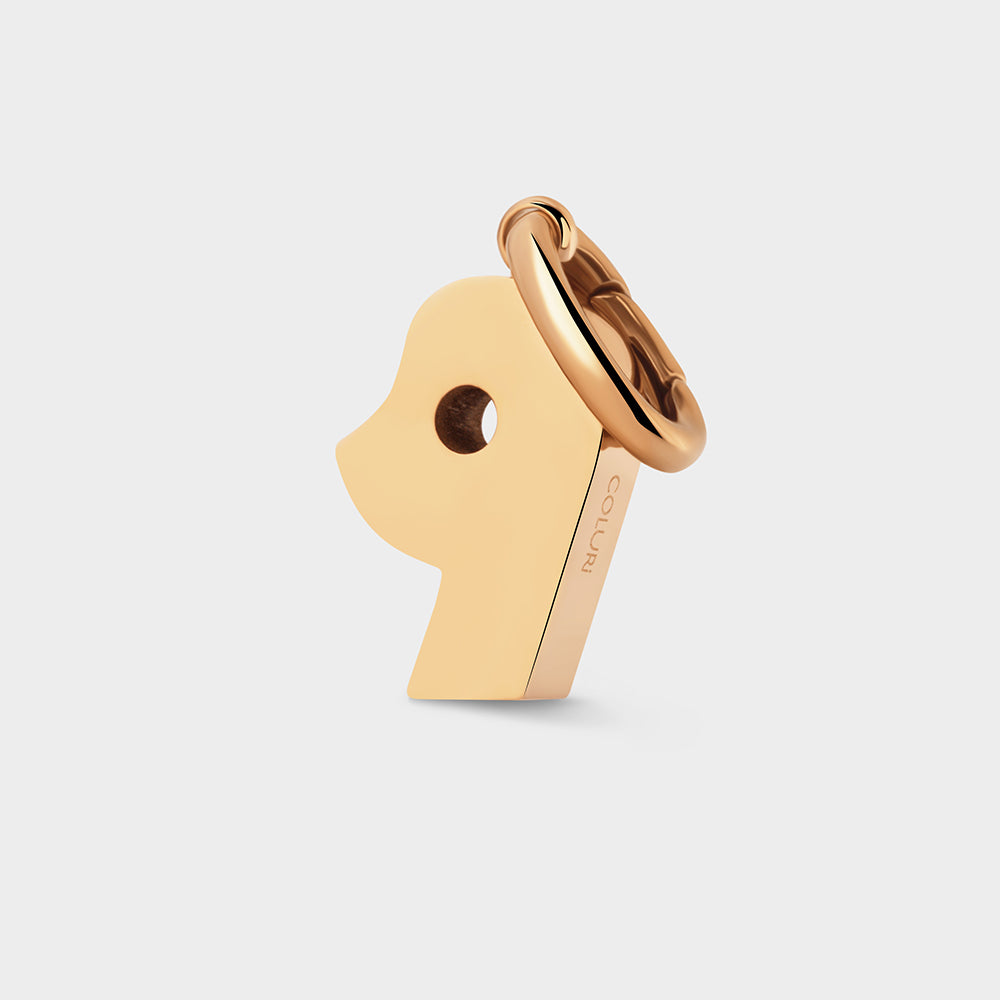 Number 9 Charm