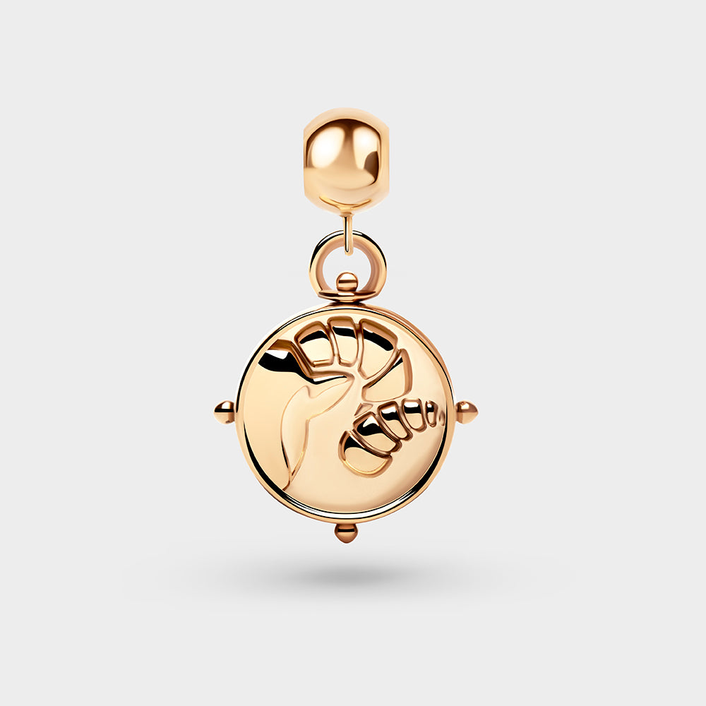 Aries Charm Petite
