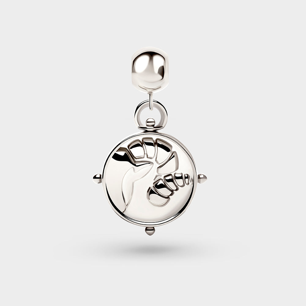 Aries Charm Petite