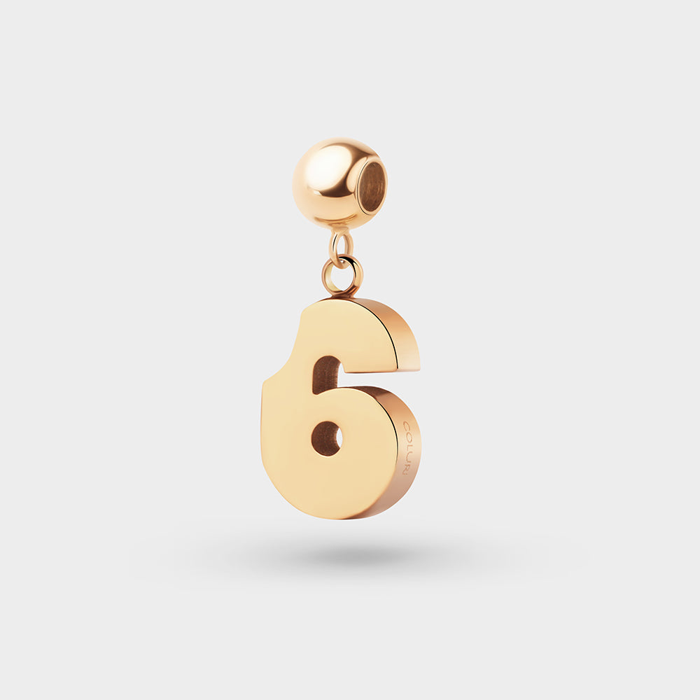 Number 6 Charm Petite