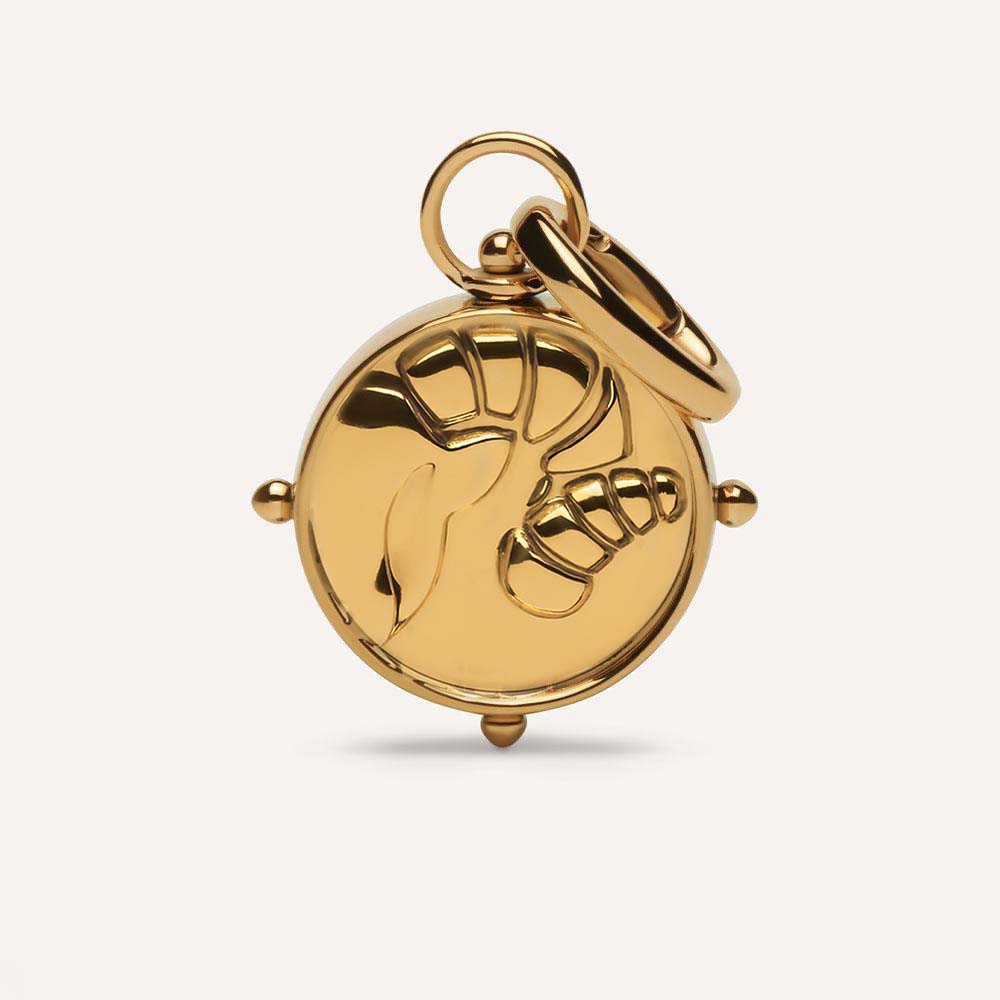 Aries Double-Sided Charm