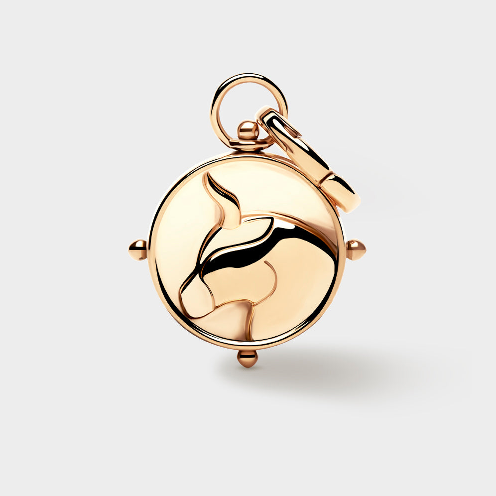 Taurus Double-Sided Charm