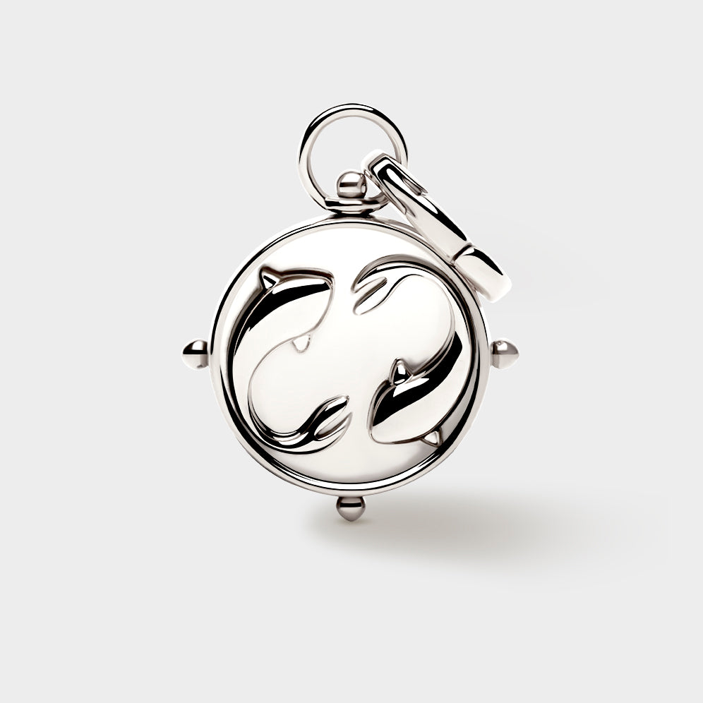Pisces Double-Sided Charm