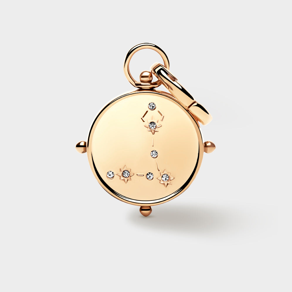 Pisces Double-Sided Charm