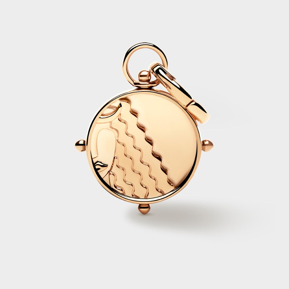 Virgo Double-Sided Charm