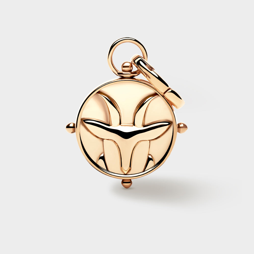 Capricorn Double-Sided Charm