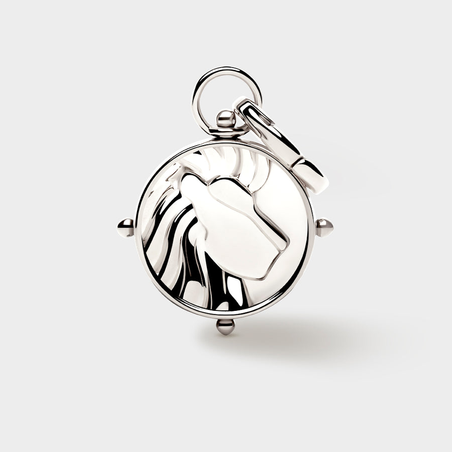 Zodiac Double-Sided Charms