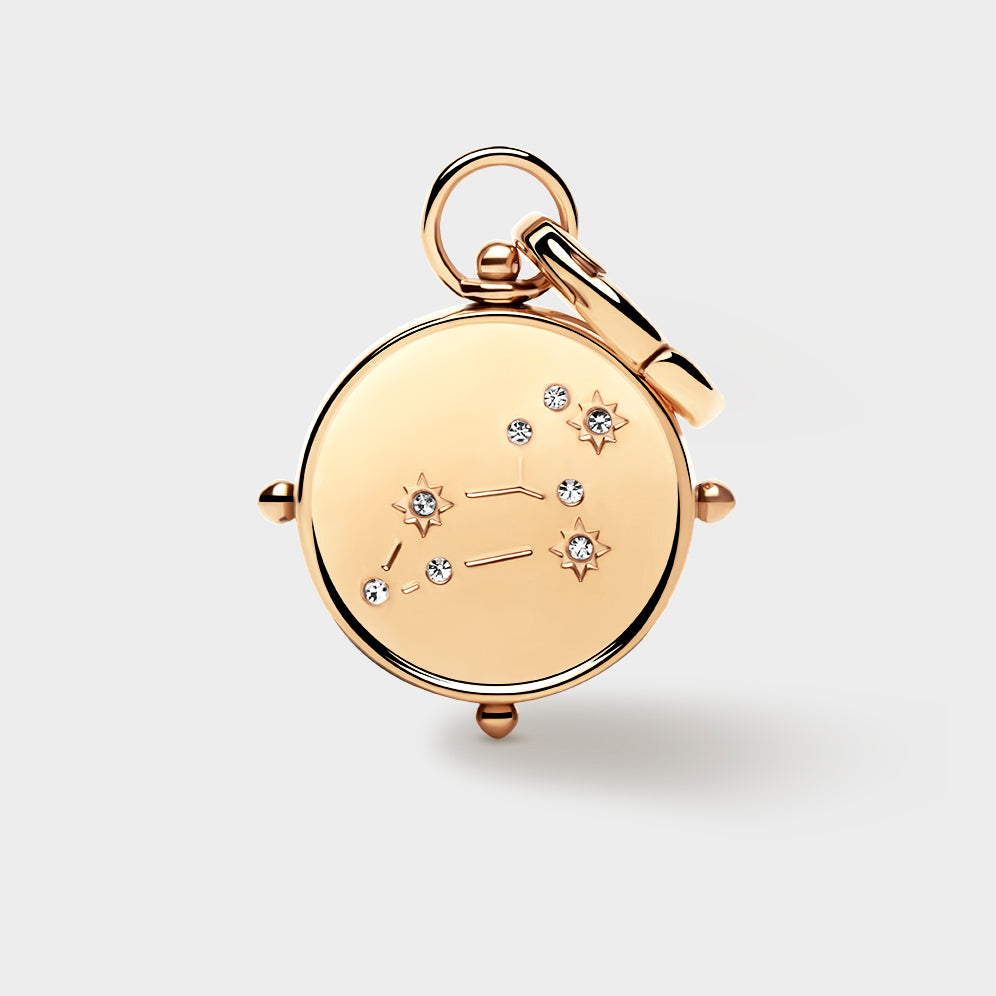 Leo Double-Sided Charm