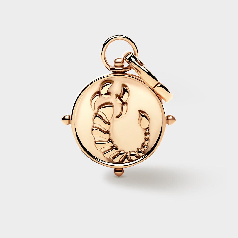 Scorpio Double-Sided Charm