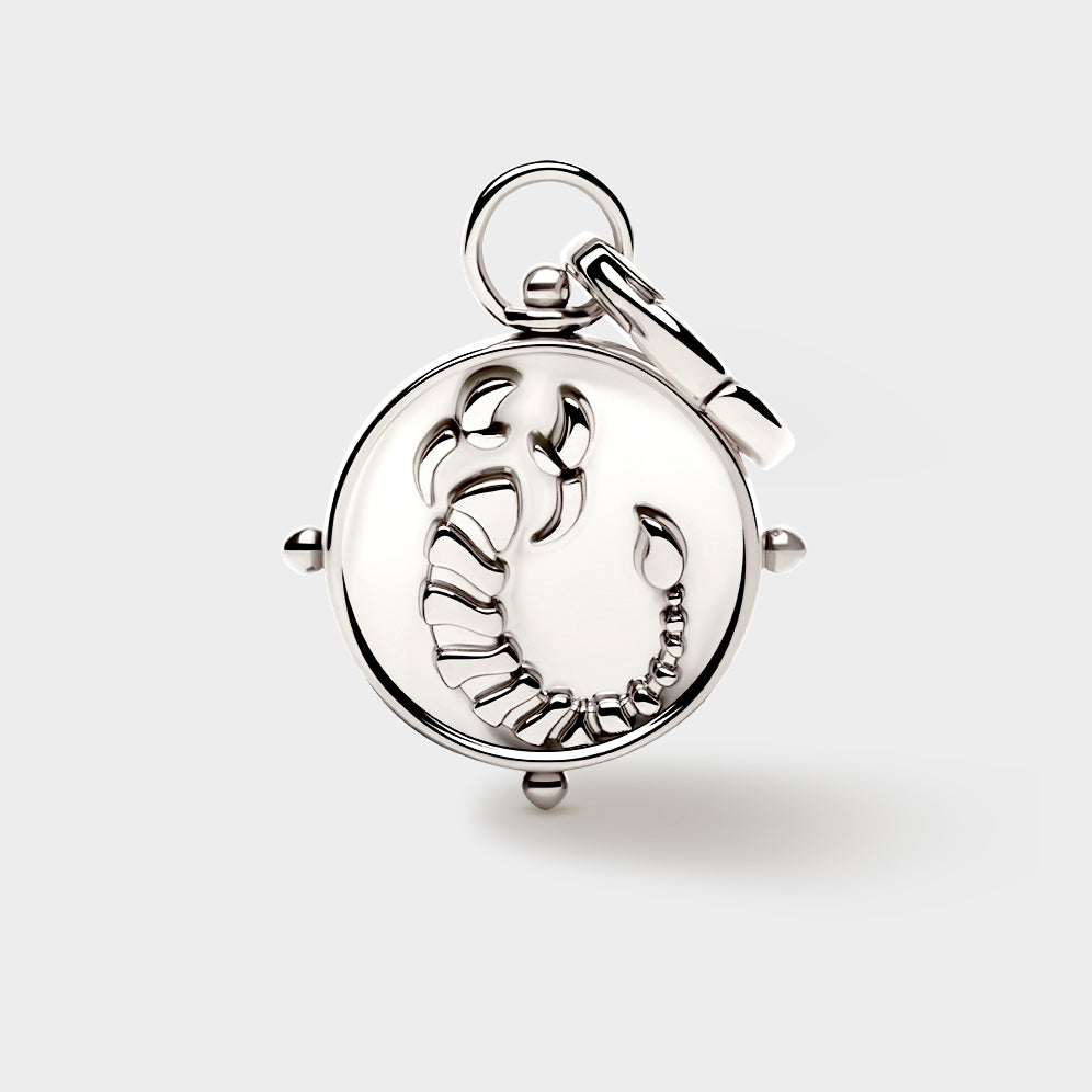 Scorpio Double-Sided Charm