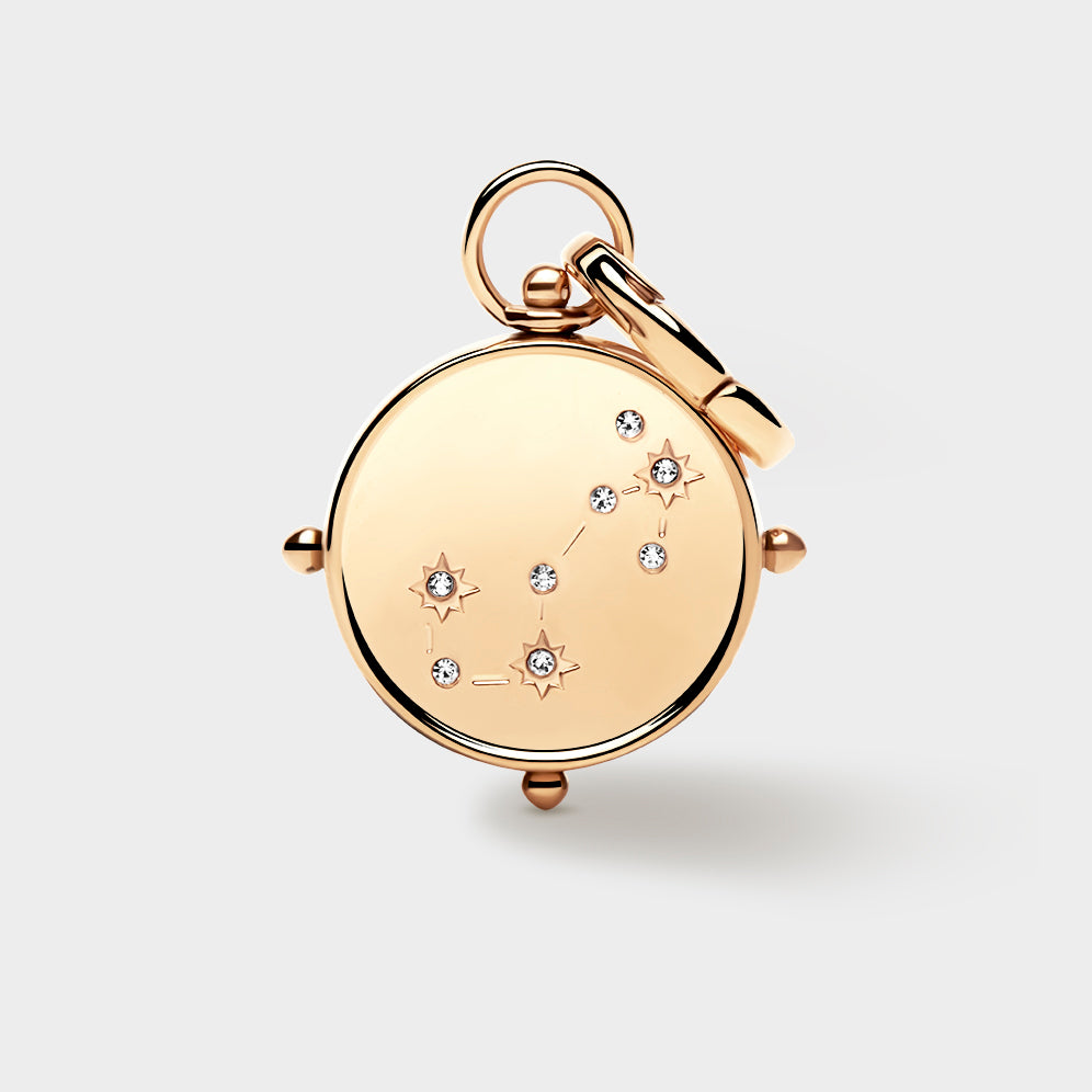 Scorpio Double-Sided Charm