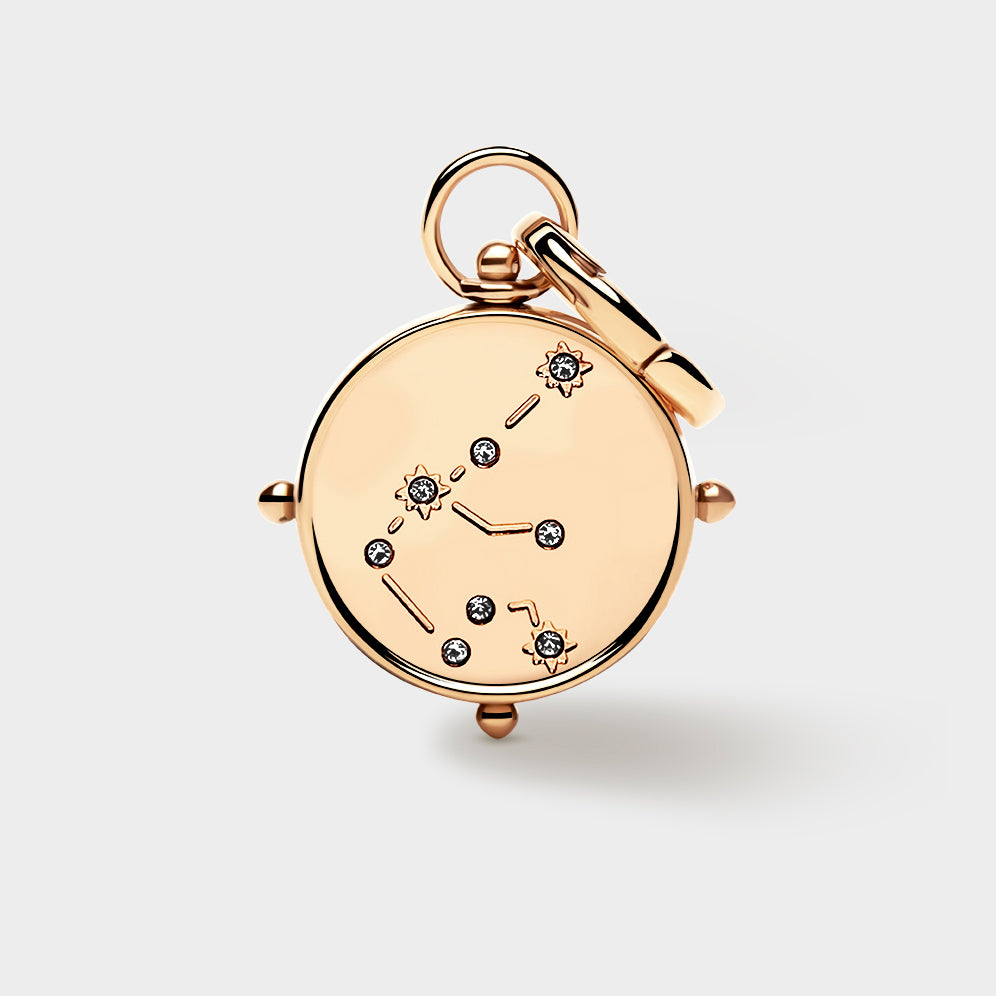 Aquarius Double-Sided Charm