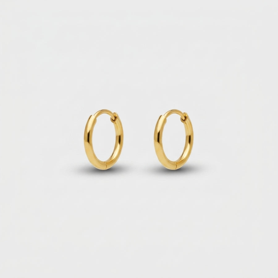 Charm Earrings Small