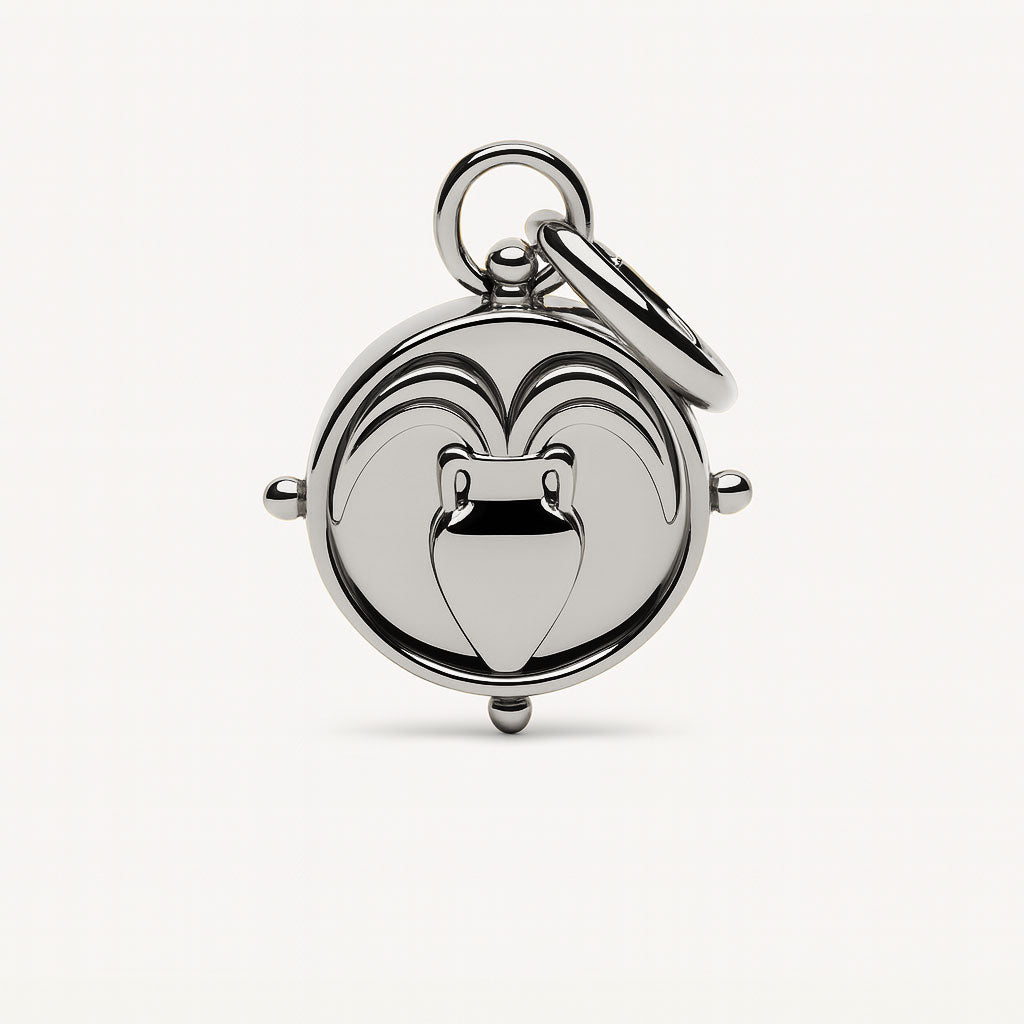 Aquarius Double-Sided Charm