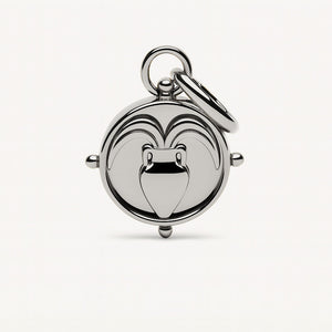 Aquarius Double-Sided Charm