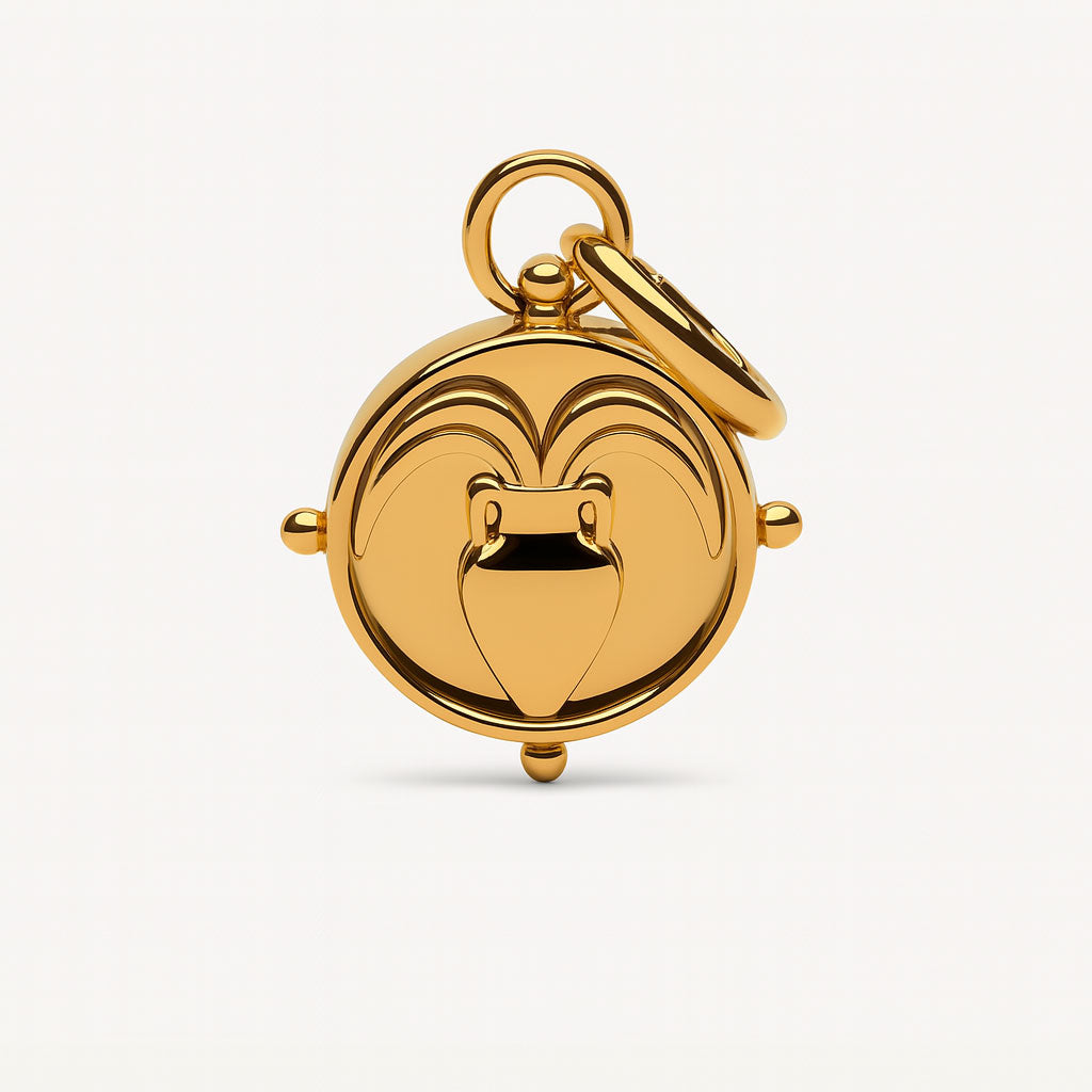Aquarius Double-Sided Charm