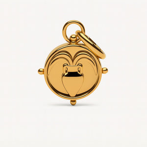 Aquarius Double-Sided Charm