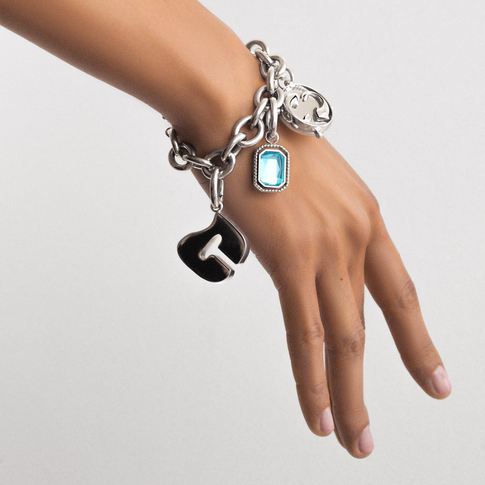 Zodiac Double-Sided Charms