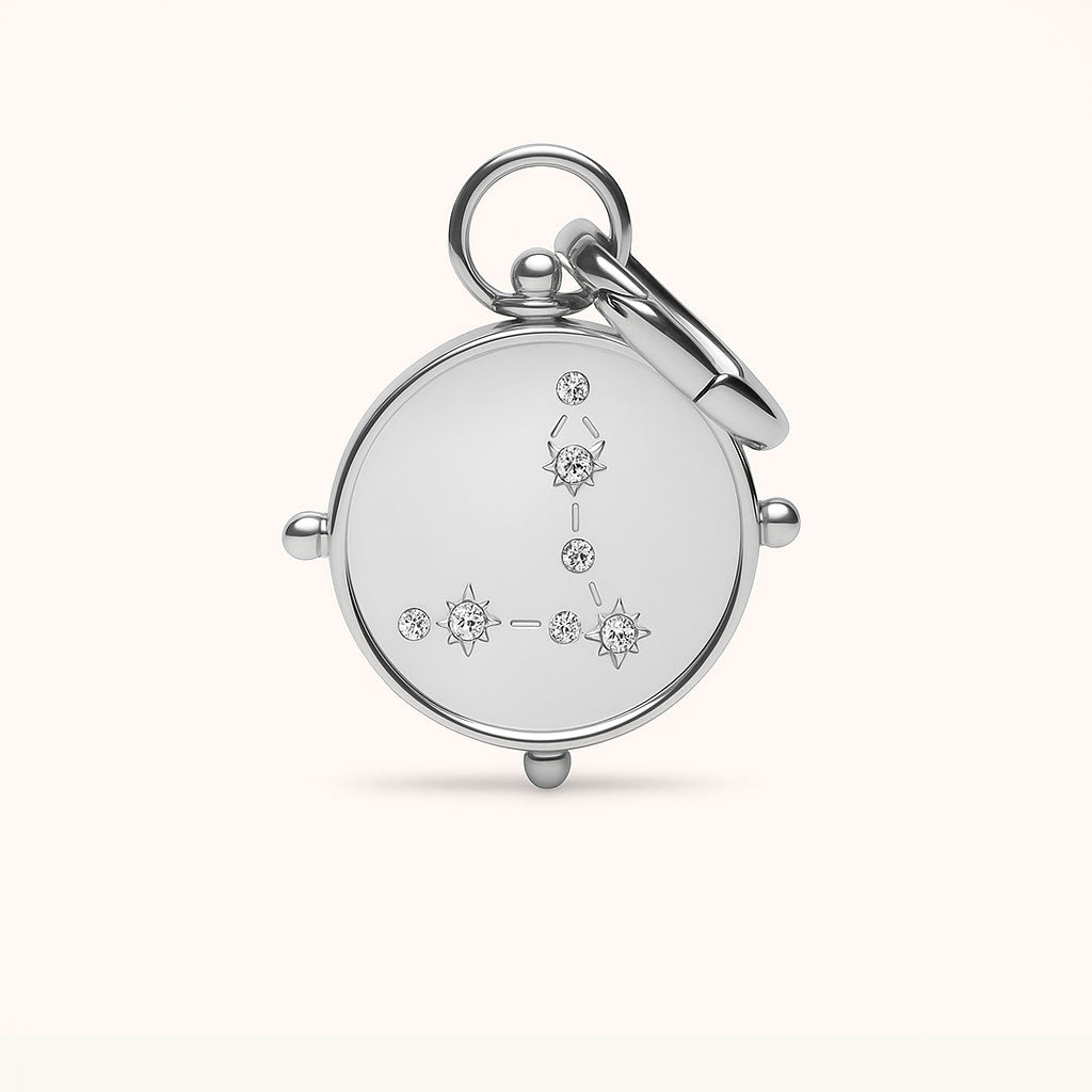 Pisces Double-Sided Charm