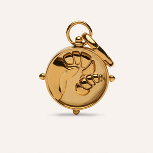 Aries Double-Sided Charm