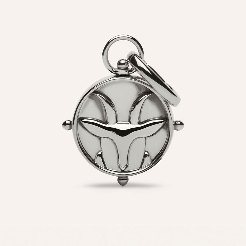 Capricorn Double-Sided Charm